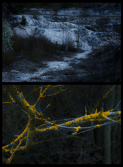 dark_lines_01