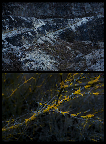 dark_lines_03